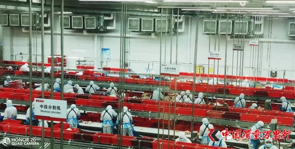 质量和安全铸就双汇食品魂 --河南省肉类协会走进工厂看双汇