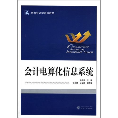 新编会计学系列教材:会计电算化信息系统